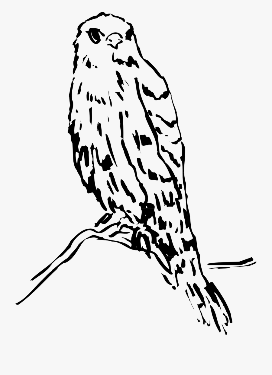 Portable Network Graphics, Transparent Clipart