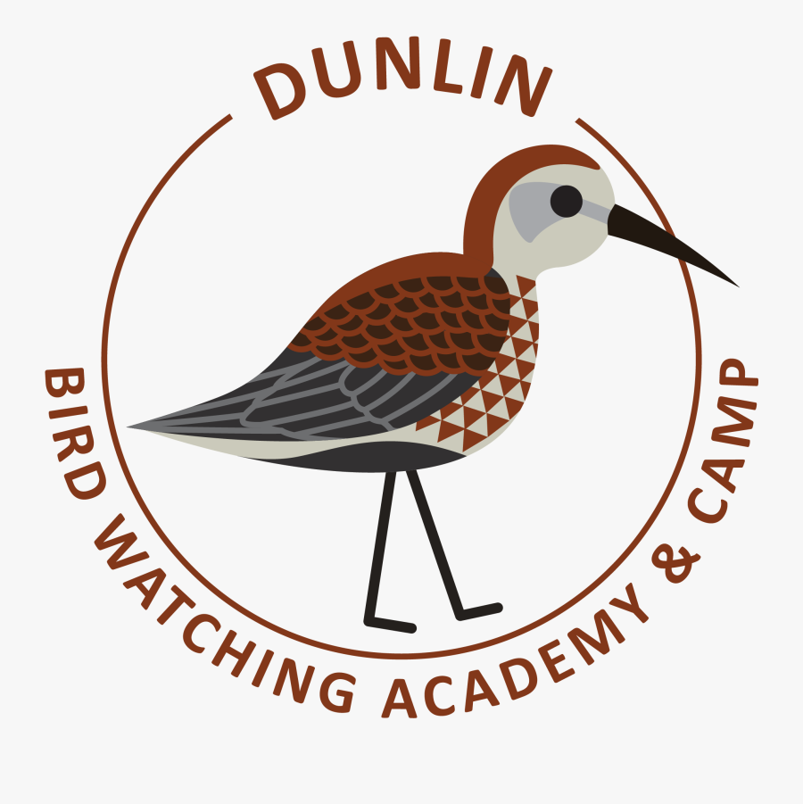 Dunlin Picture - Nordenbergsskolan, Transparent Clipart