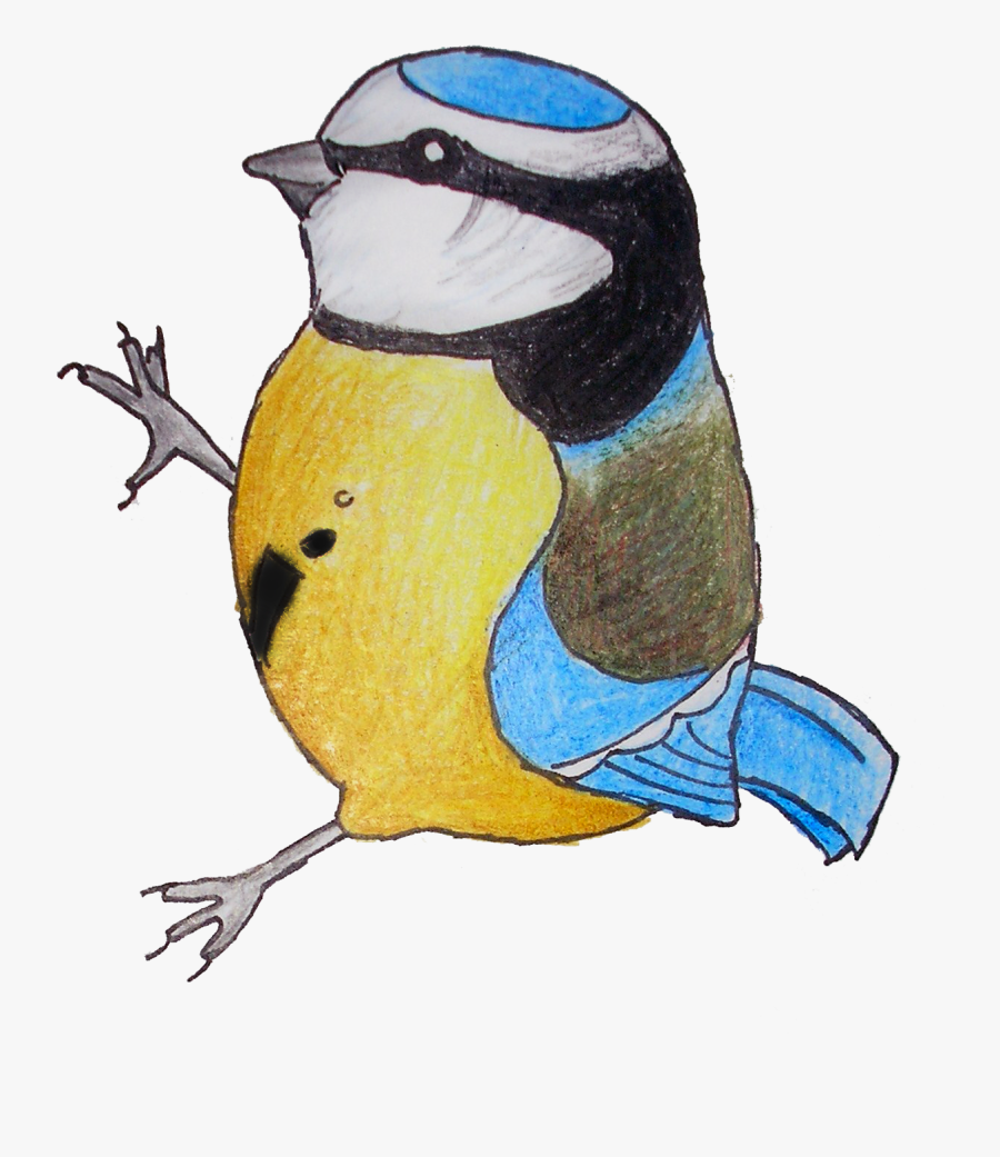 Flightless Bird, Transparent Clipart