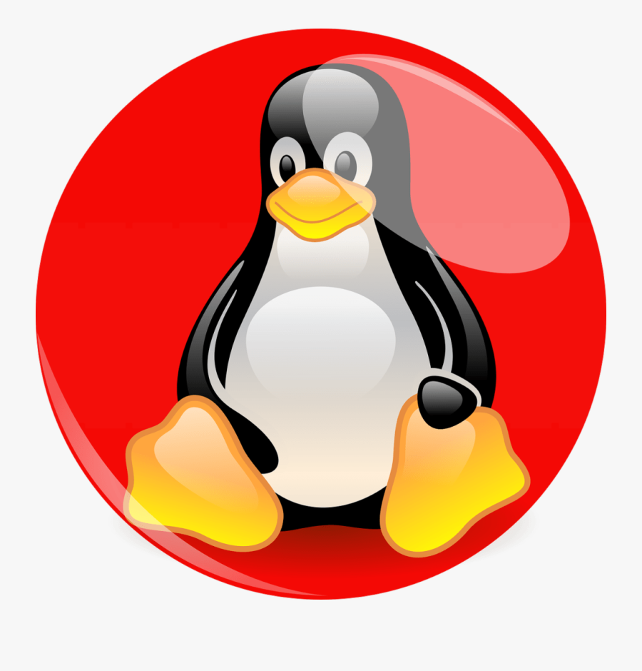 Pinguino De Linux Png, Transparent Clipart