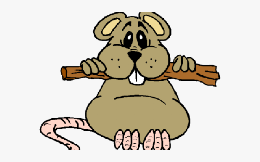 Chew Cliparts - Topo E Noce, Transparent Clipart