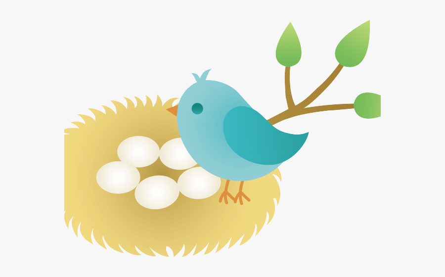 Poster On Bird Conservation, Transparent Clipart