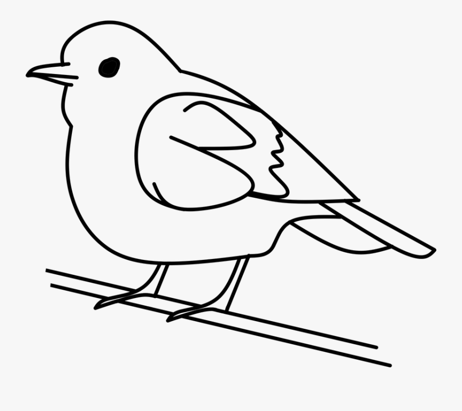 Sketch, Transparent Clipart