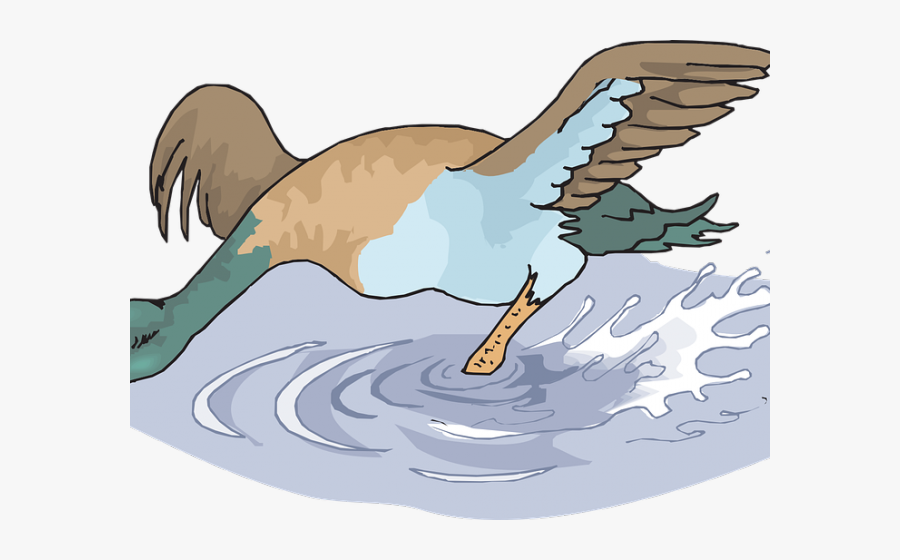 Duck Splash In The Water Cartoon, Transparent Clipart