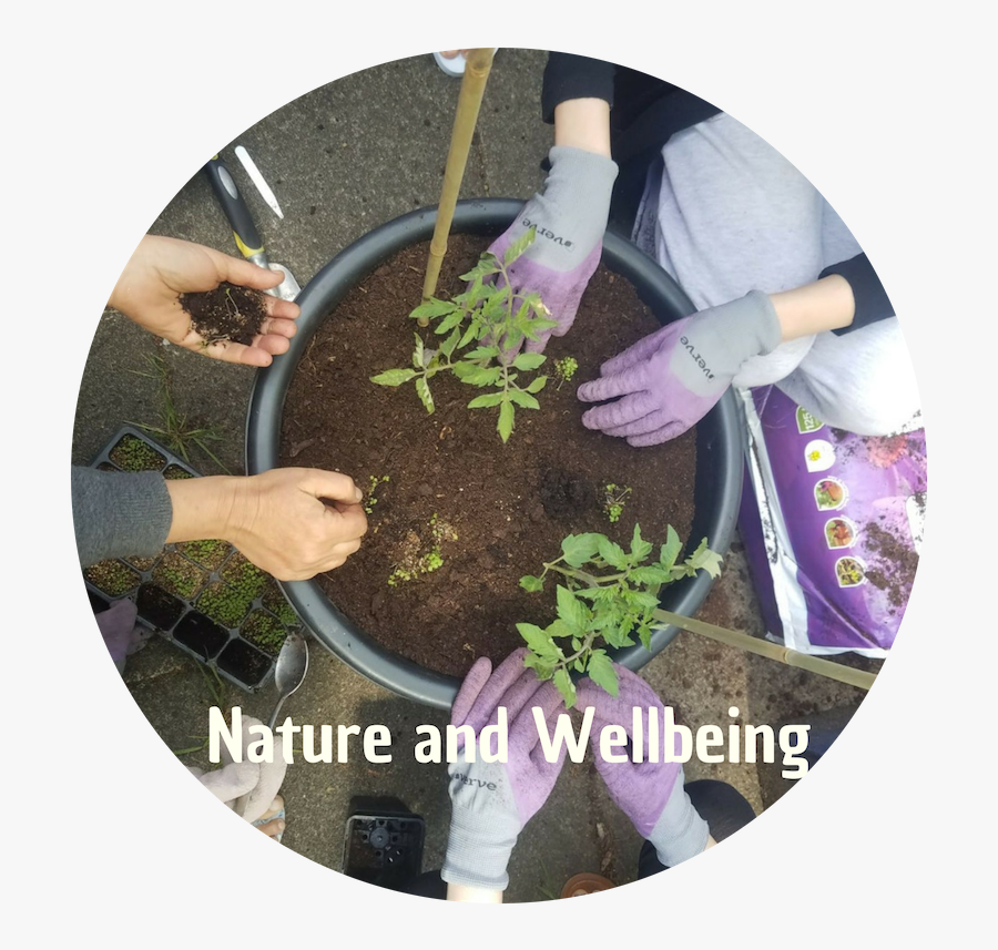 Transparent Beautiful Women Png, Transparent Clipart