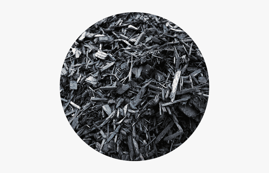 Dyed Black Bark - Wood, Transparent Clipart