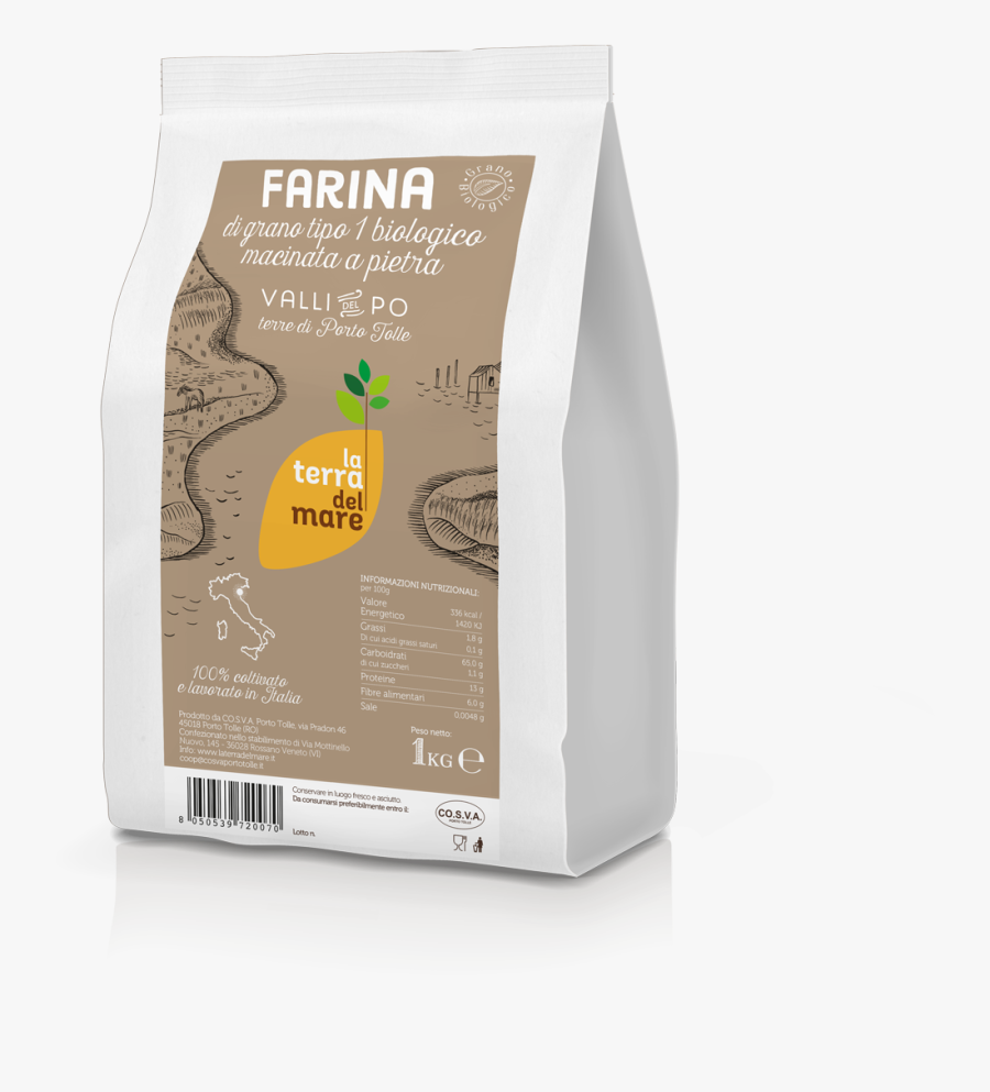 African Grey, Transparent Clipart