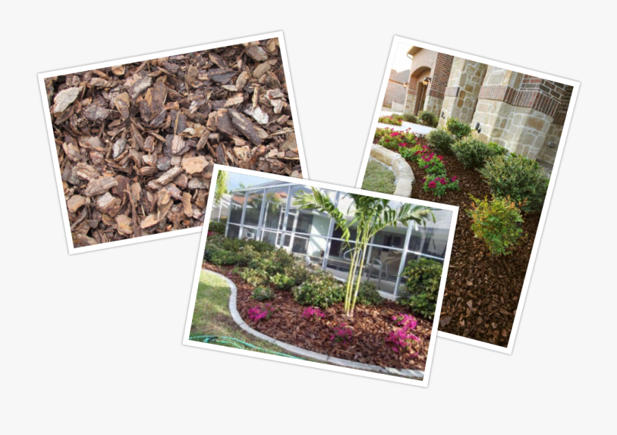 Landscaping,mulch At Longwood Gardens Nursery And Landscaping, - Yard, Transparent Clipart