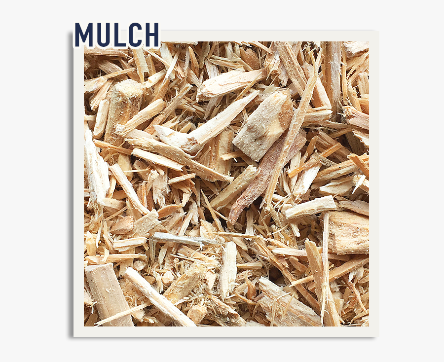 Wood, Transparent Clipart