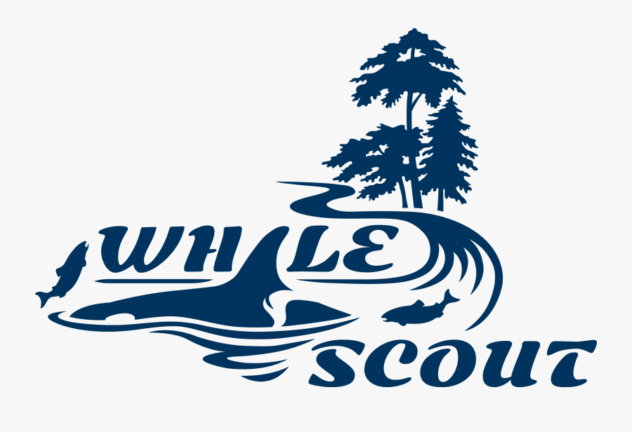 Whale Scout, Transparent Clipart