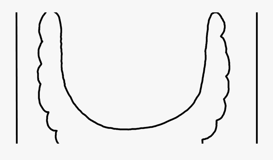 Line Art, Transparent Clipart