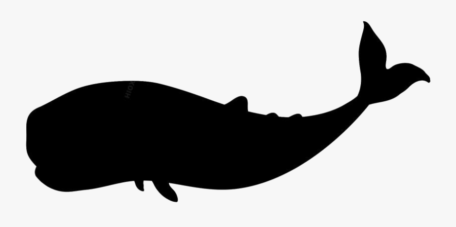 Whale Png Clipart Free Download - Whale Transparent Background, Transparent Clipart