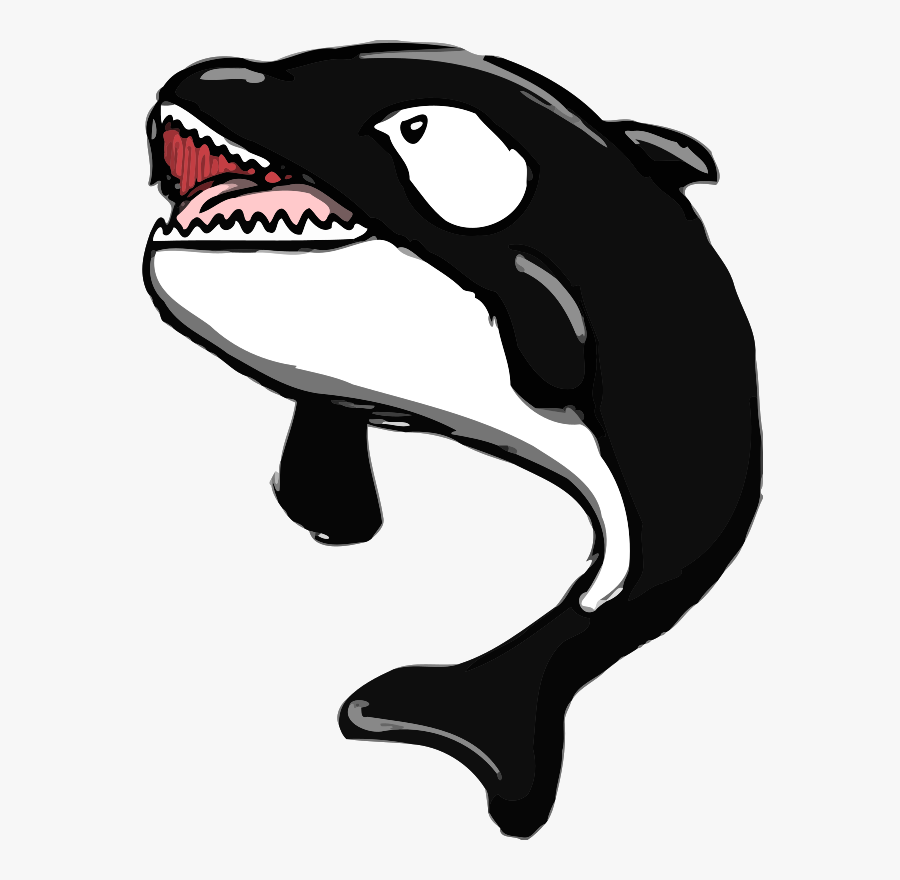 Killer Whale Cartoon Png, Transparent Clipart