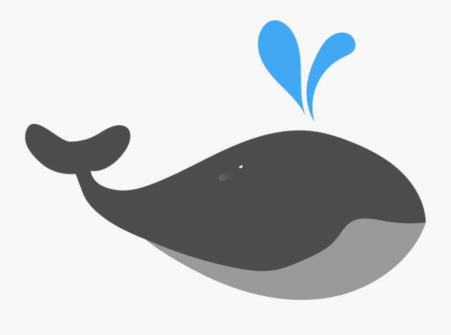 Beluga Whale Png, Transparent Clipart