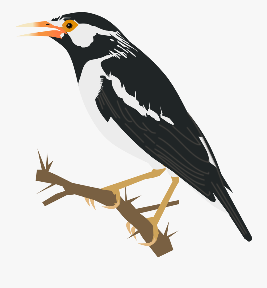 Birdy Words From They - Common Starling, Transparent Clipart