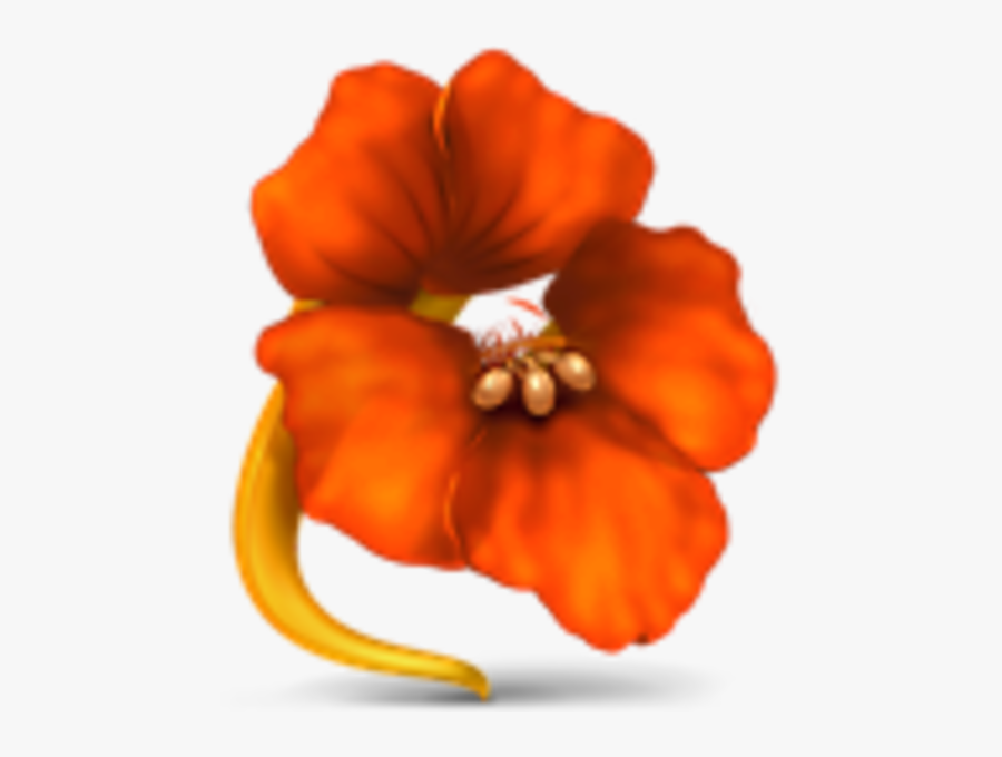 Nasturtium Clipart, Transparent Clipart