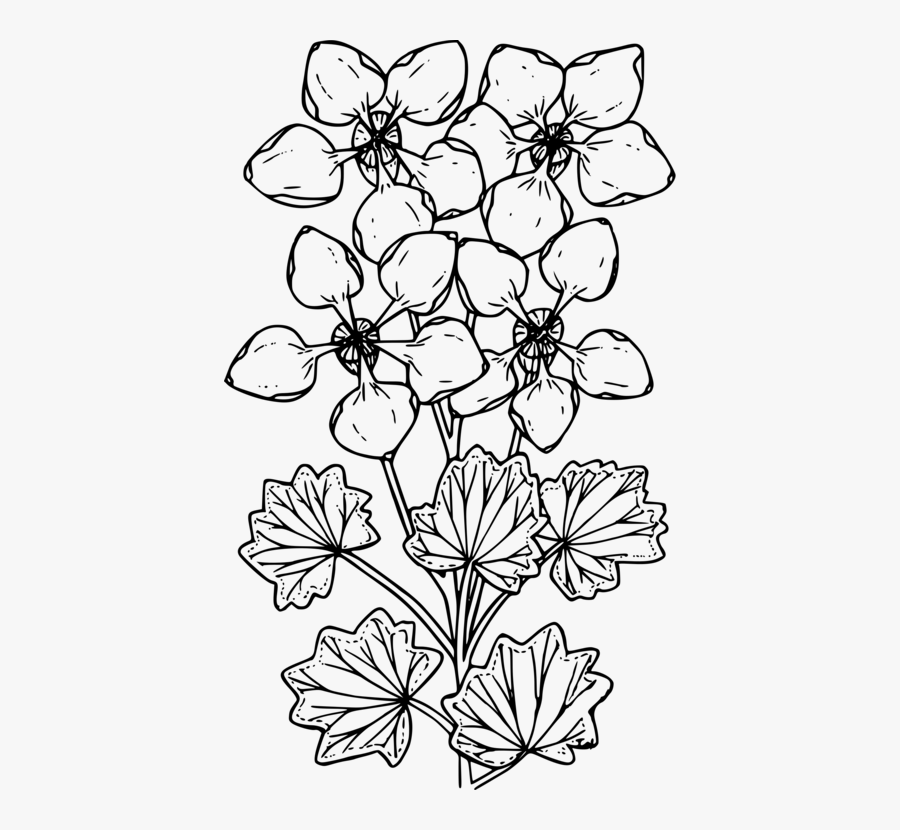 Symmetry,monochrome Photography,petal - Chrysanths, Transparent Clipart