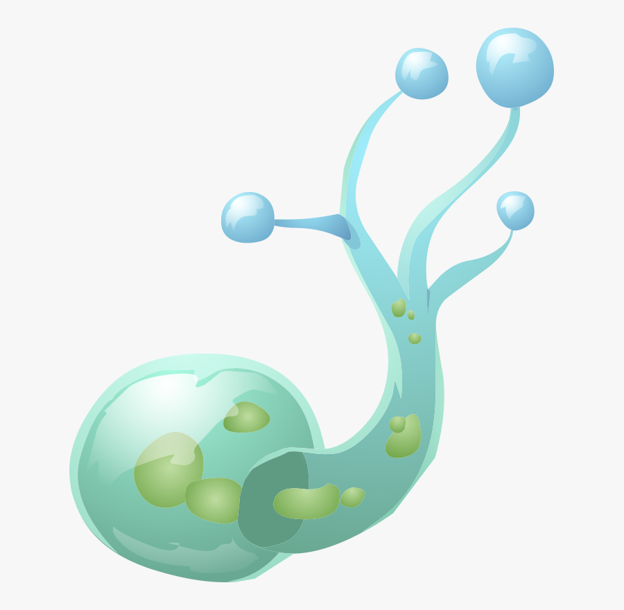 Animal, Plant, Living, Blue, Transparent, Decoration - Clip Art, Transparent Clipart