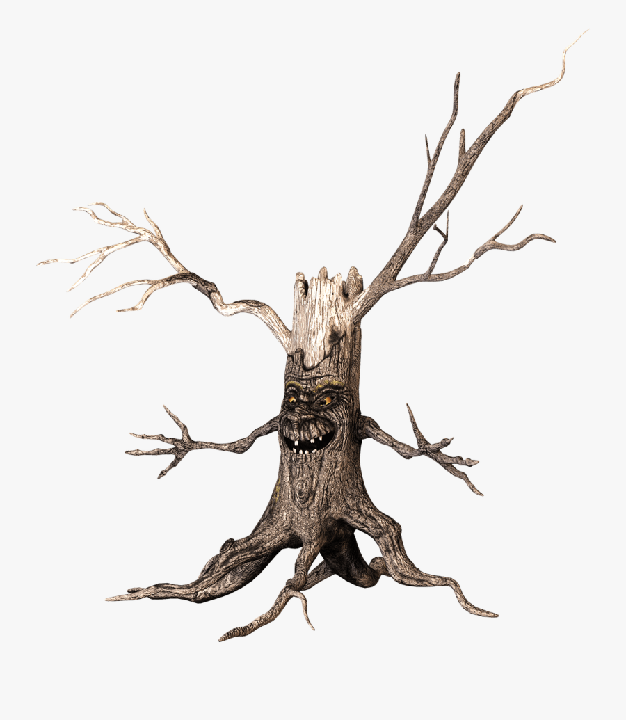 Brazos De Un Arbol, Transparent Clipart