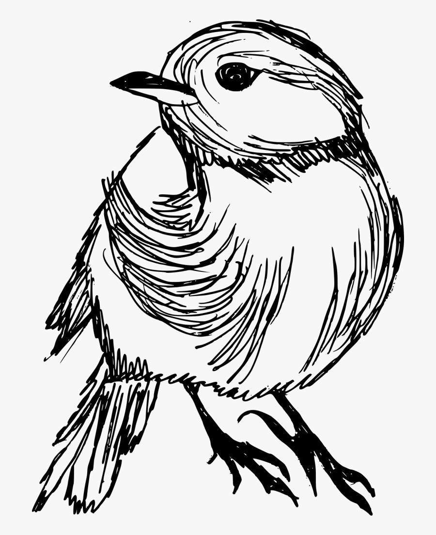 Drawing, Transparent Clipart