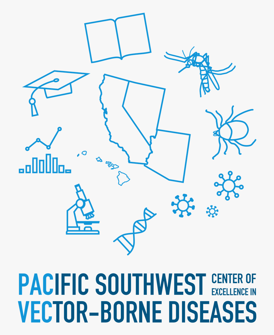 Pacvec - Us - Infographic, Transparent Clipart
