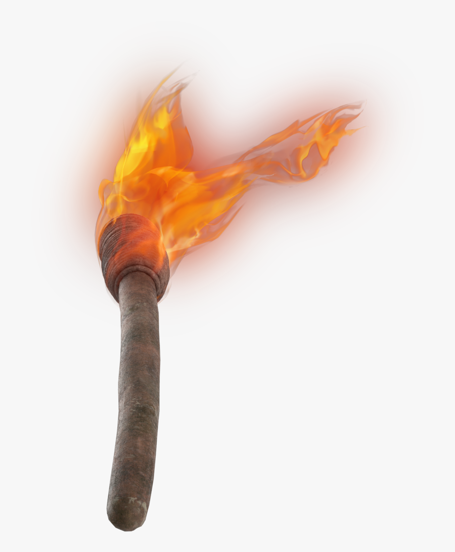 Hand Torch Png Image - Fish, Transparent Clipart
