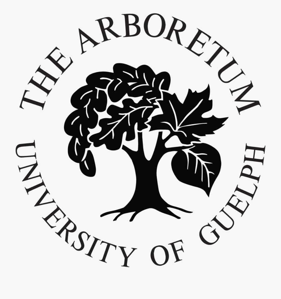 Torch Clipart Wooden - University Of Guelph Arboretum Logo, Transparent Clipart