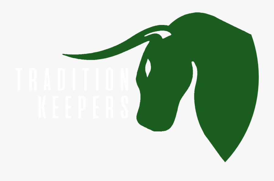 Bull Clipart Usf, Transparent Clipart