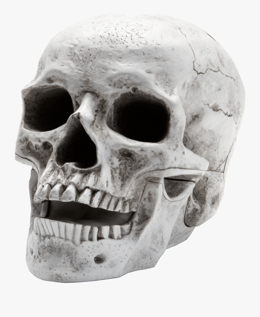 Skull Open Mouth Clip Arts - Rainbow Six Siege Halloween Charm, Transparent Clipart