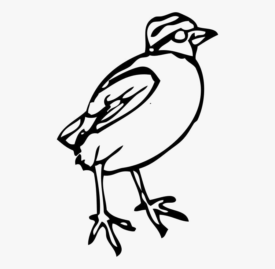 Little Bird - Bird Clipart, Transparent Clipart