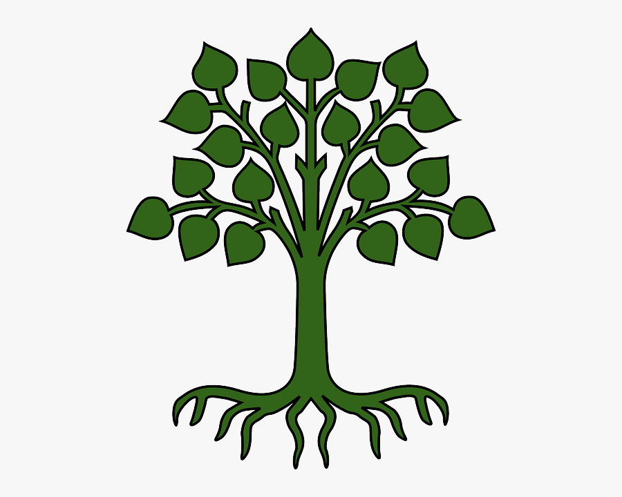 Tree With Leaves And Roots Clipart , Png Download - Child Care, Transparent Clipart