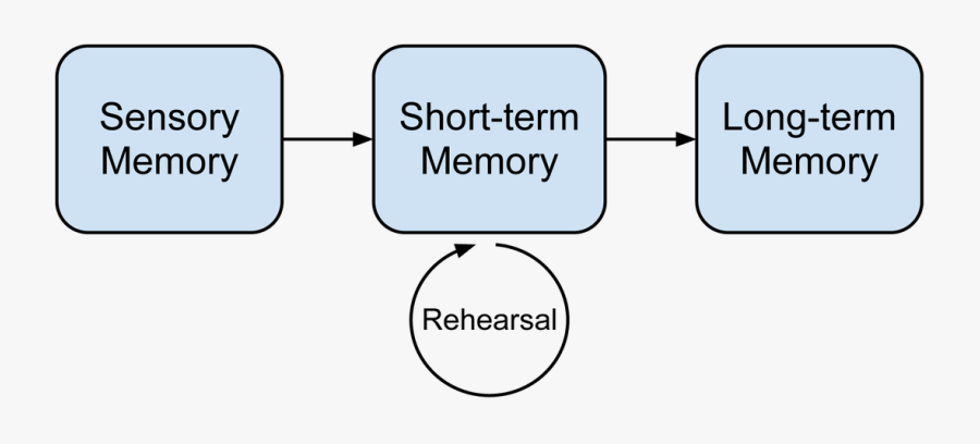 3 Memory Types Ctml - Memory Information Processing, Transparent Clipart