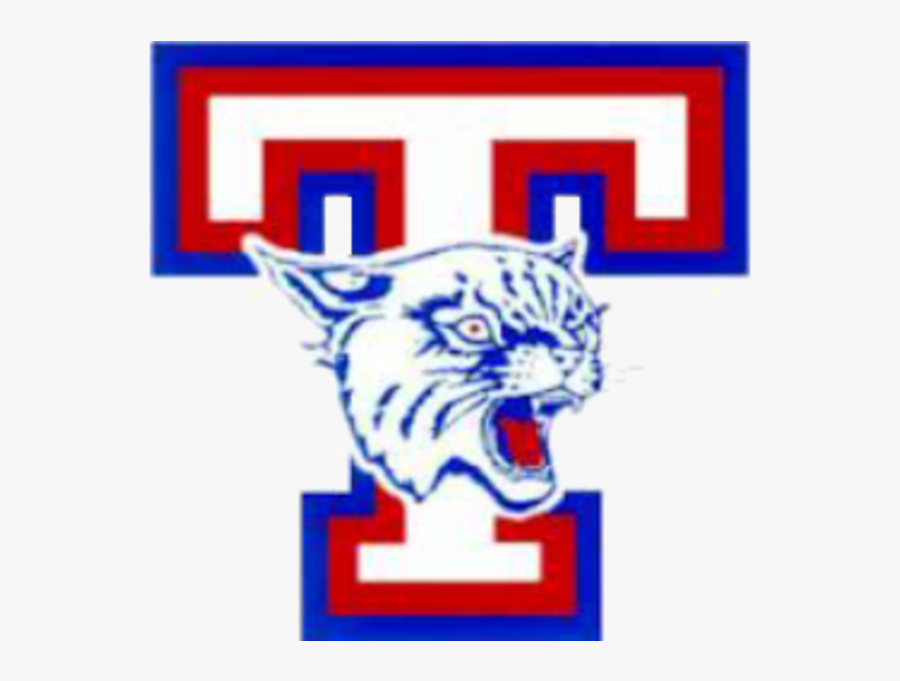 Transparent Clipart Wildcats - Temple High School Wildcat, Transparent Clipart