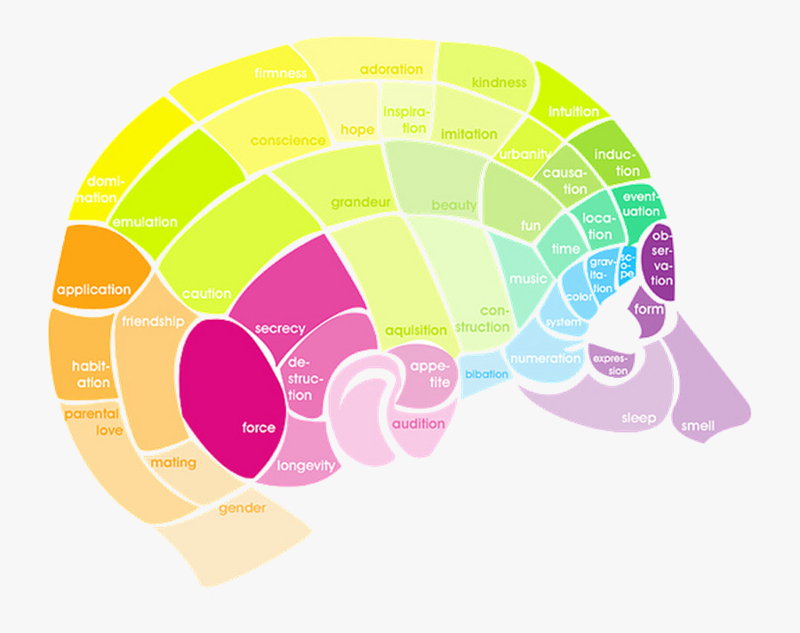 Illustration, Transparent Clipart