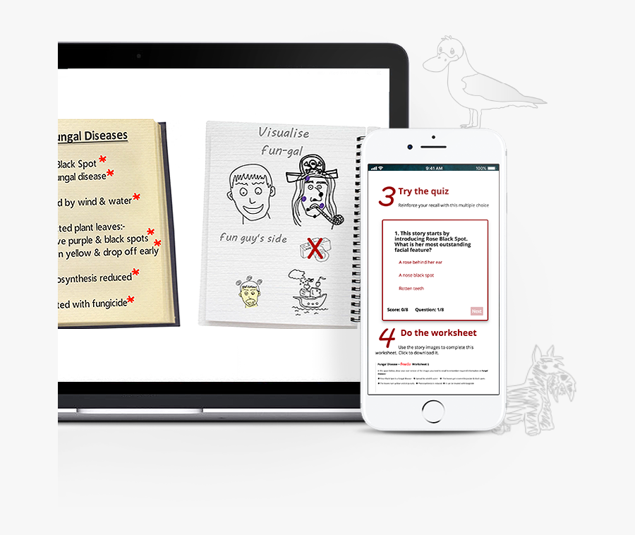 Line Art, Transparent Clipart