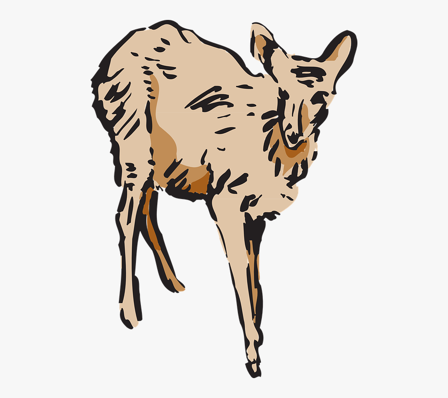 Antelope Clipart Rusa, Transparent Clipart