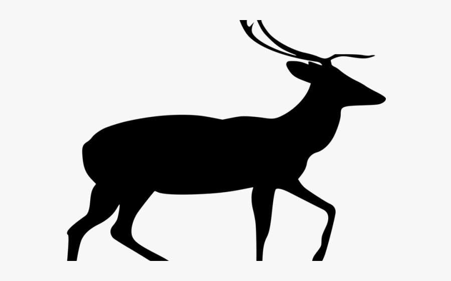 Vector Buck Deer Head, Transparent Clipart