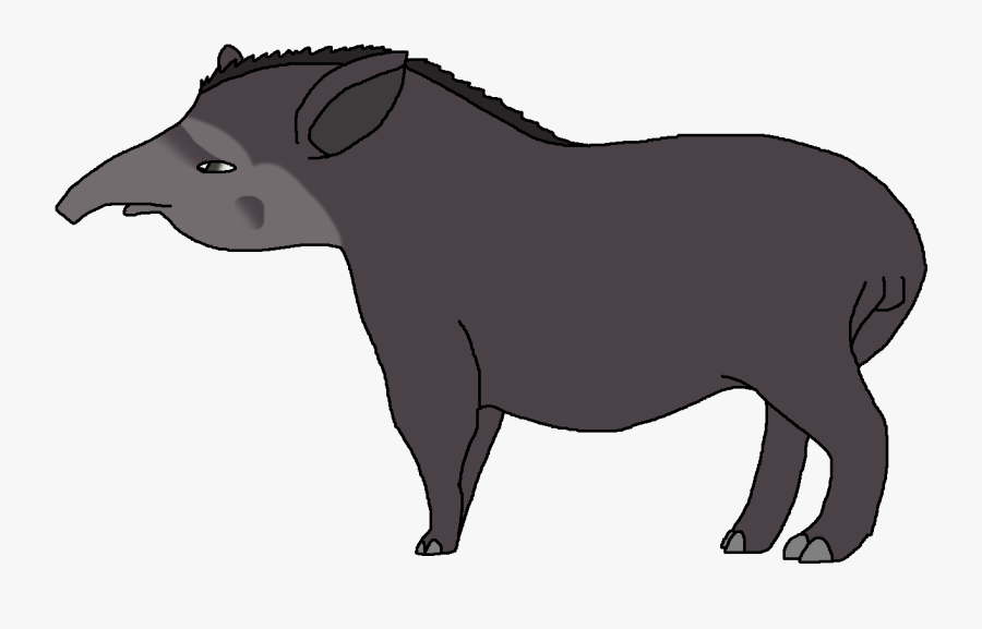 South American Tapir - Boar, Transparent Clipart