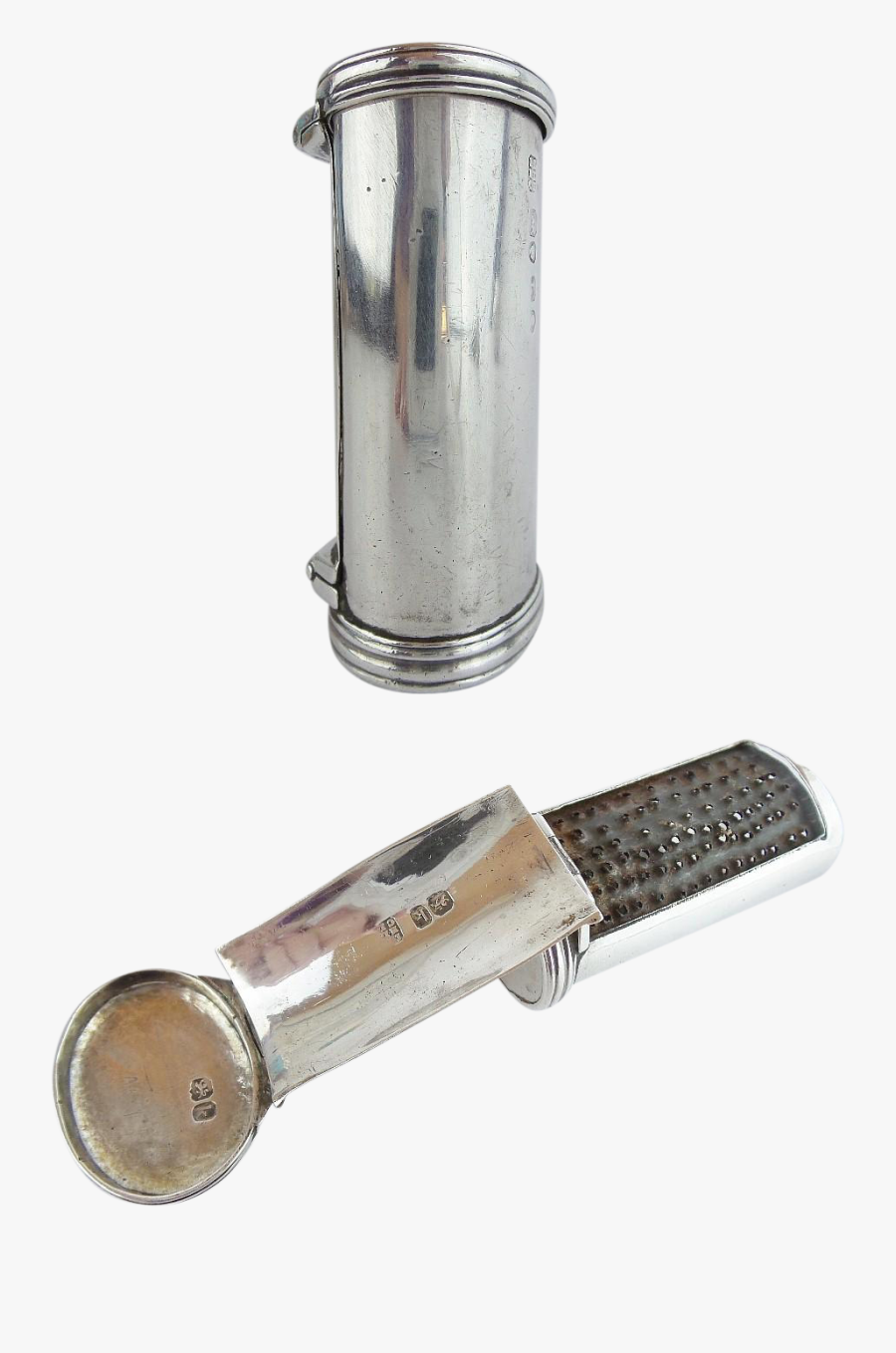 Clip Art Rare English Silver Nutmeg - Brush, Transparent Clipart