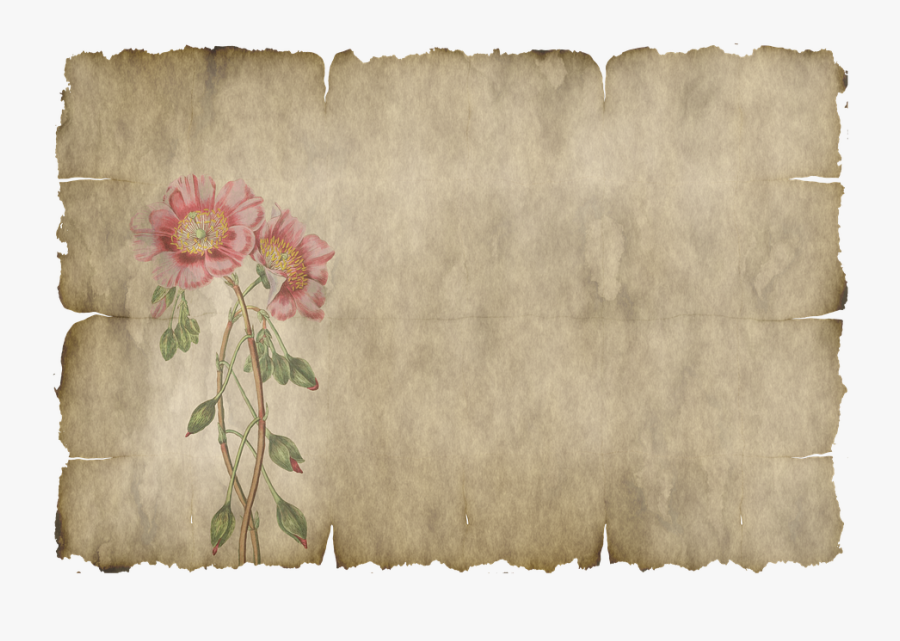 Design - Fondo Pergamino Con Flores, Transparent Clipart