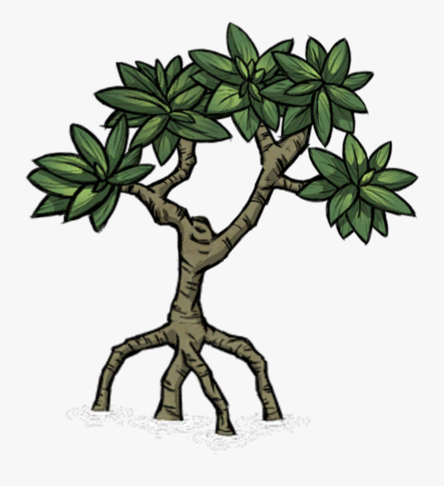 Thirsty Plant - Mangrove Tree Transparent Backgro7nd, Transparent Clipart