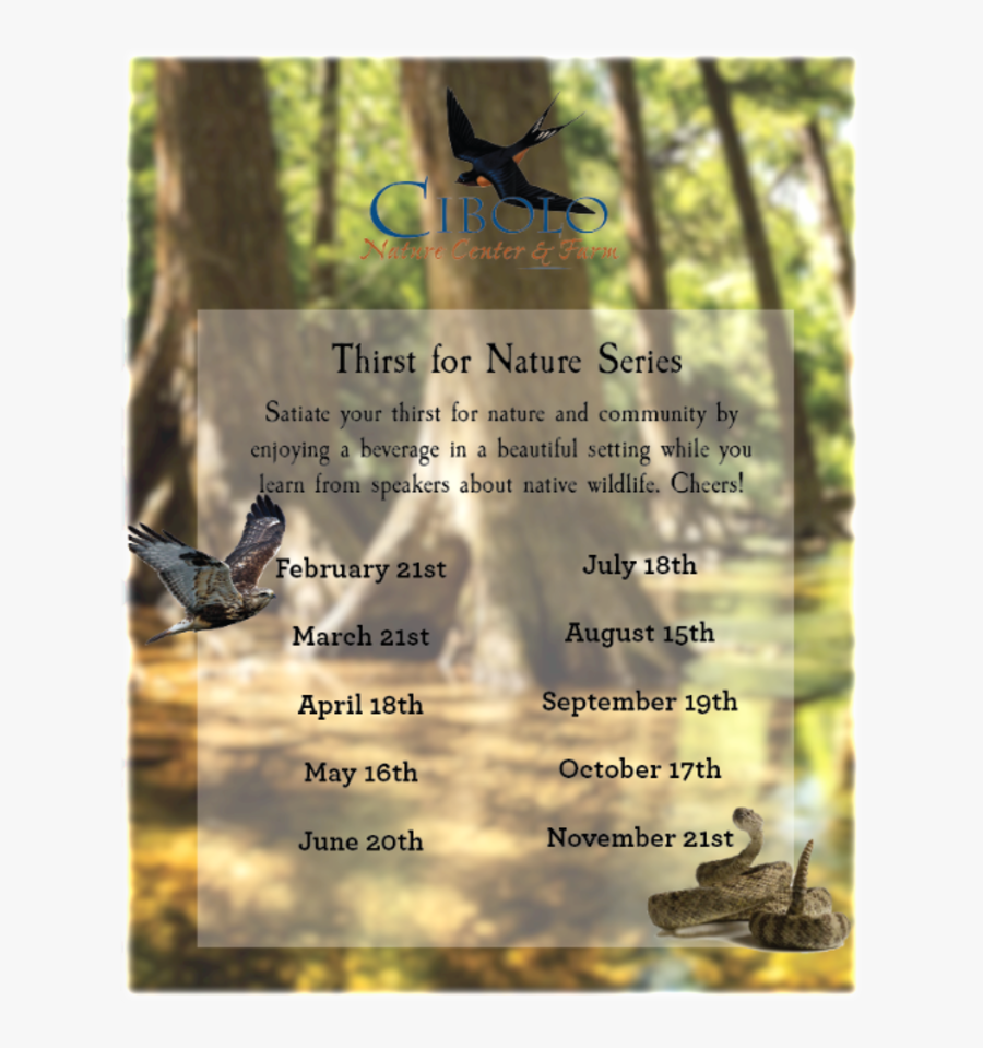 Poster, Transparent Clipart