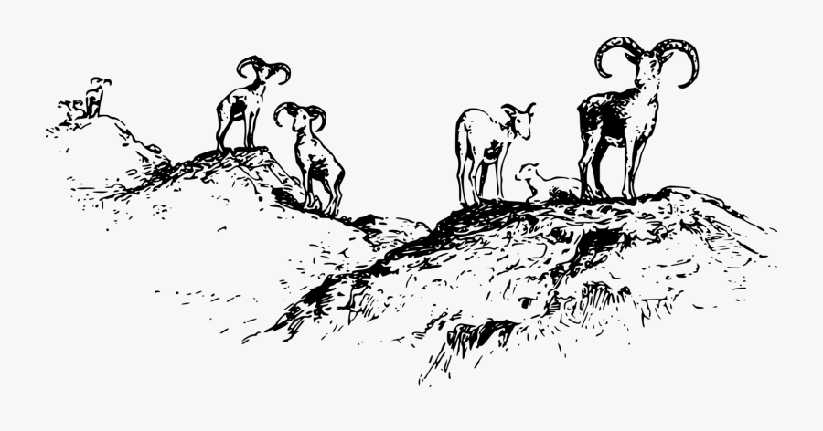 Art,monochrome Photography,artwork - Portable Network Graphics, Transparent Clipart