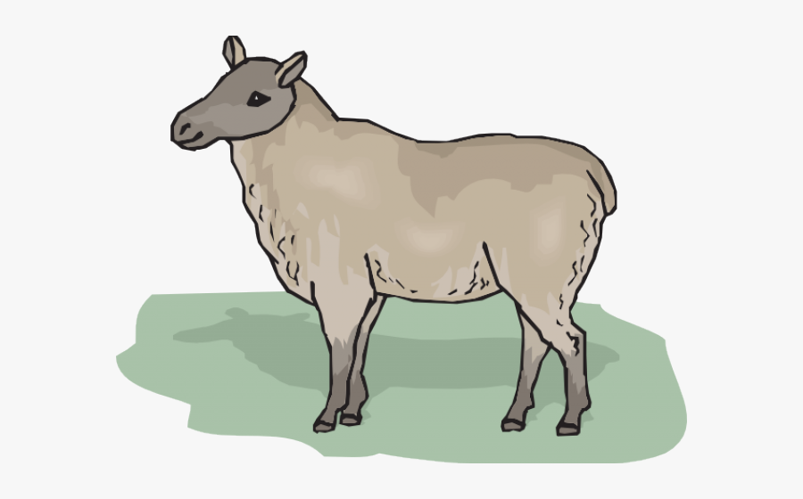 Ewe Cliparts - Ewe Clipart, Transparent Clipart