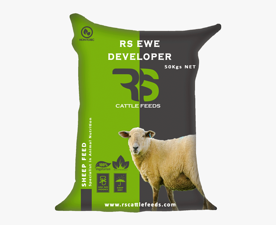 Transparent Cattle Png - Cattle, Transparent Clipart