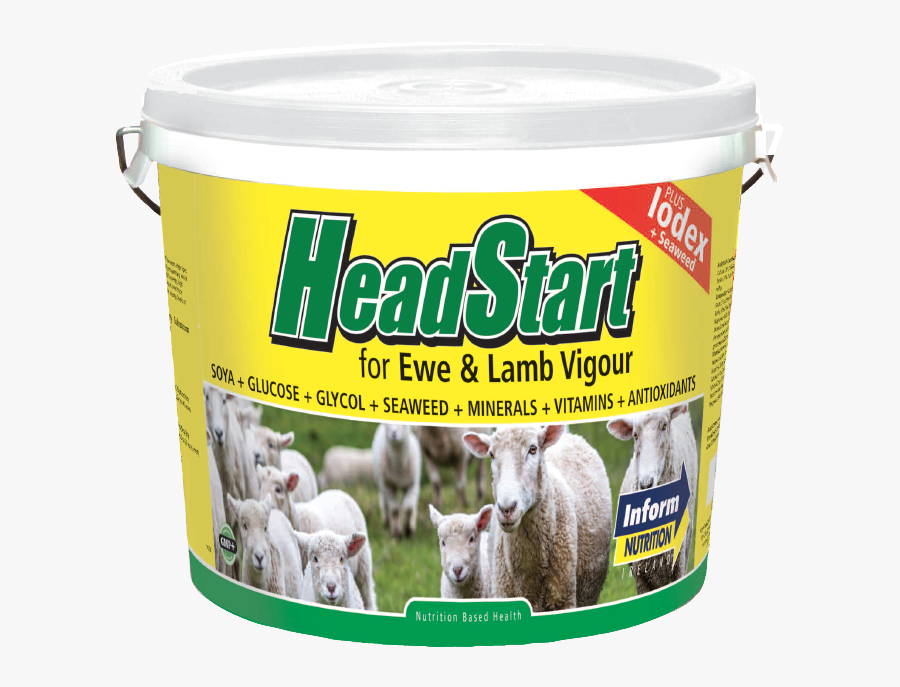 Headstartsheepbucket - Goat - Sheep Vitamins And Minerals, Transparent Clipart