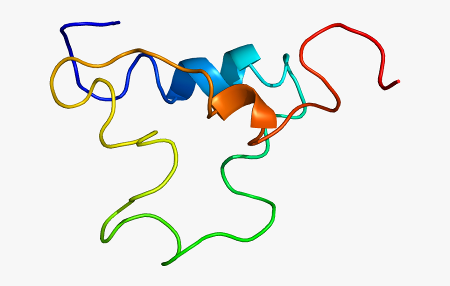 Growth Clipart Height Measurement - Igf 1, Transparent Clipart