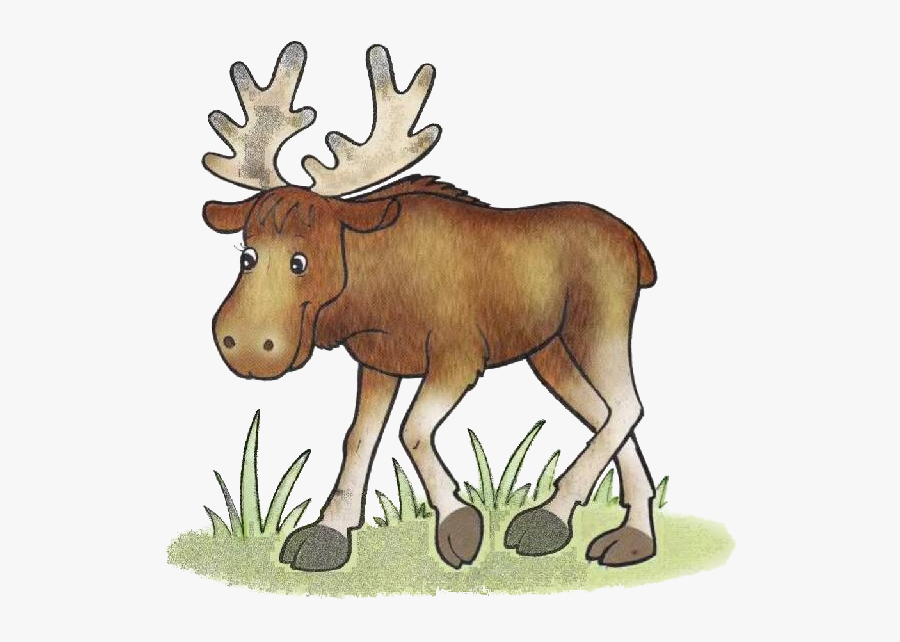 Moose Reindeer Forest Clip Art - Клипарты Животные Леса, Transparent Clipart