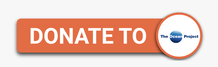 Top Donate Button Green- - Ocean Foundation Donation, Transparent Clipart
