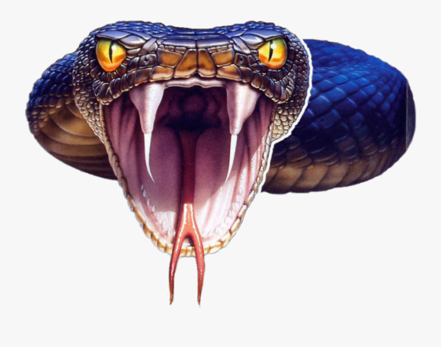King Cobra Clipart, Transparent Clipart